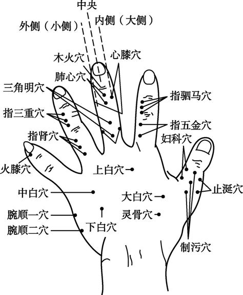 五虎穴 定位|董氏奇穴 一一部位 五虎穴